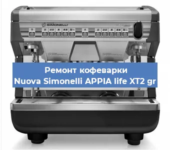 Чистка кофемашины Nuova Simonelli APPIA life XT2 gr от кофейных масел в Москве